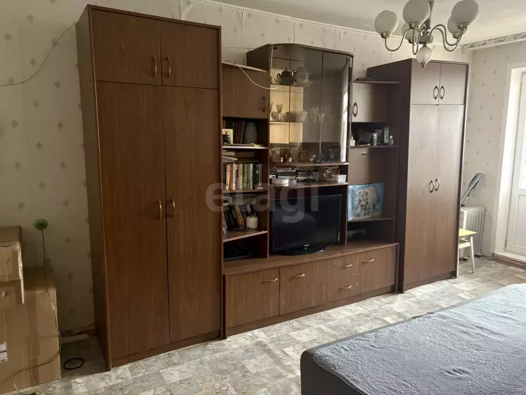 1-к кв. Воронежская область, Борисоглебск Юго-Восточный мкр, 9 (30.4 ... - Фото 1