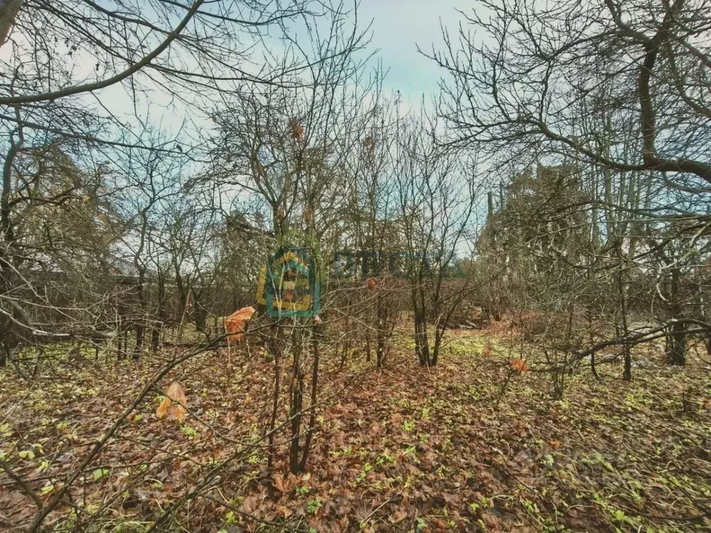 Участок в Ленинградская область, Всеволожский район, д. Юкки ш. ... - Фото 0