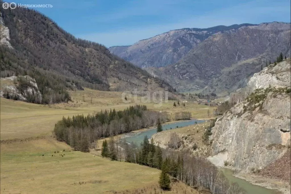 Участок в Онгудайский район, село Большой Яломан, Центральная улица ... - Фото 0