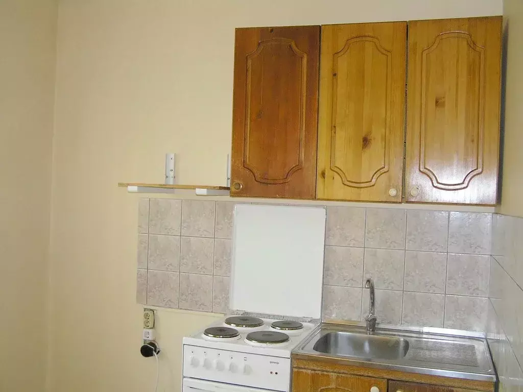 1-к кв. Новосибирская область, Новосибирск Выборная ул., 124 (40.0 м) - Фото 0