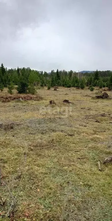 Участок в Алтай, Турочакский район, с. Турочак ул. Соломаткиной (10.5 ... - Фото 0