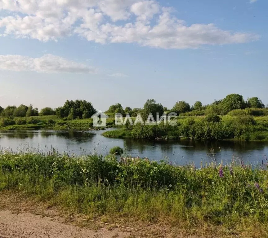 Участок в Карелия, Олонецкое городское поселение, д. Капшойла  (33.0 ... - Фото 1