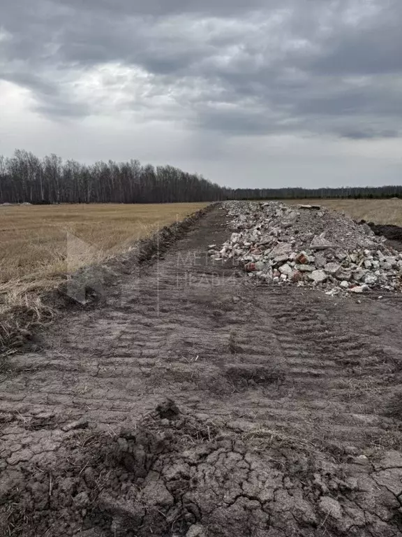 Участок в Тюменская область, Тюменский район, с. Горьковка  (7.92 ... - Фото 0