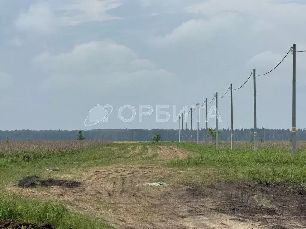 Участок в Тюменская область, Тюменский муниципальный округ, д. Елань ... - Фото 2