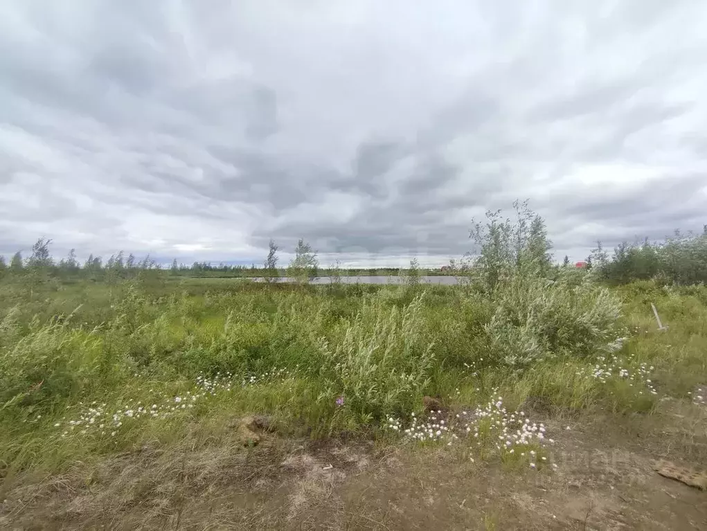 Участок в Ямало-Ненецкий АО, Новый Уренгой ул. 9-я Запрудная, 9 (6.0 ... - Фото 1