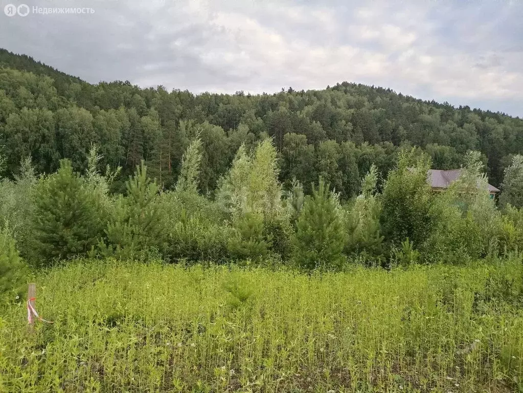 Участок в Горно-Алтайск, Родниковая улица (11.6 м) - Фото 1