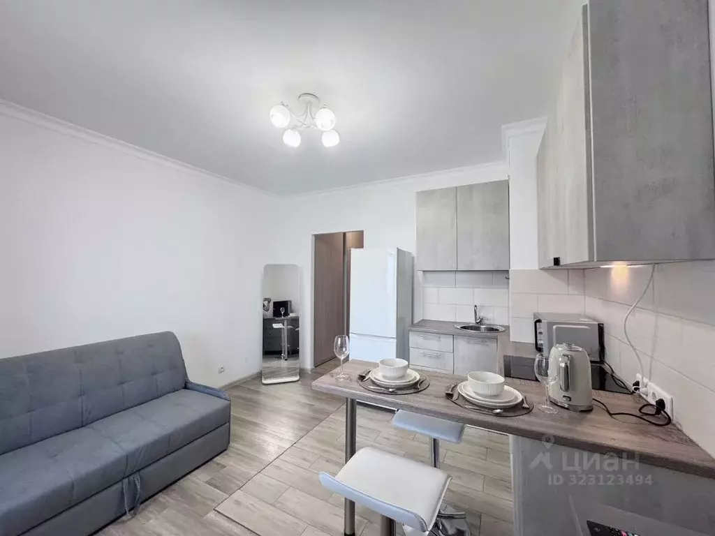 Студия Санкт-Петербург ул. Оптиков, 37 (24.4 м) - Фото 2