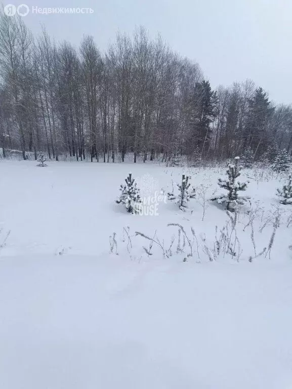 Участок в Тюменский муниципальный округ, СНТ Архитектор (27 м) - Фото 2