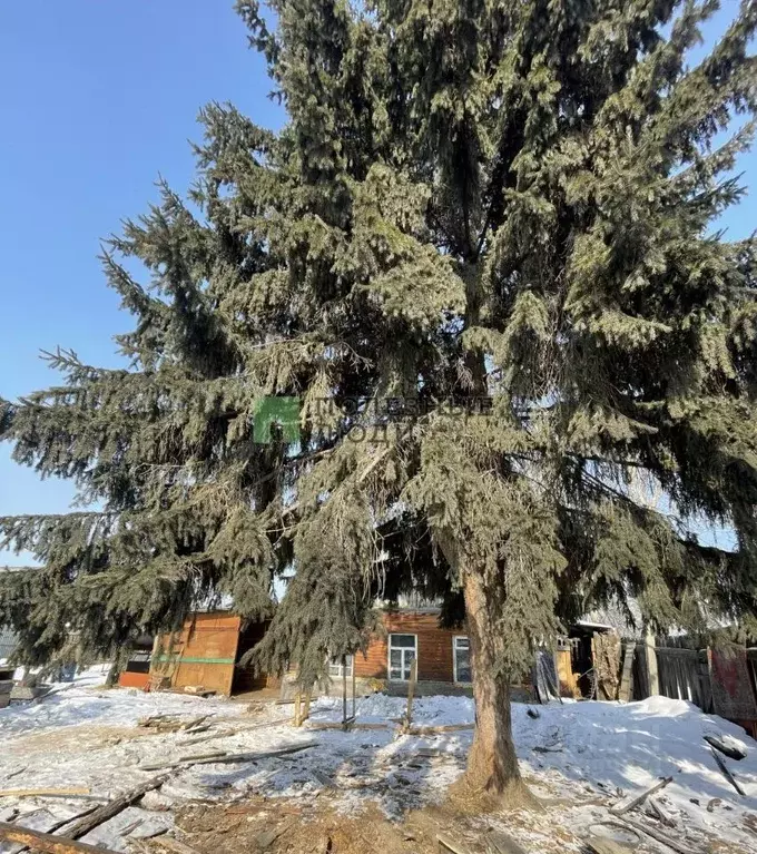 Дом в Иркутская область, Усольский район, Железнодорожное с/пос, с. ... - Фото 2