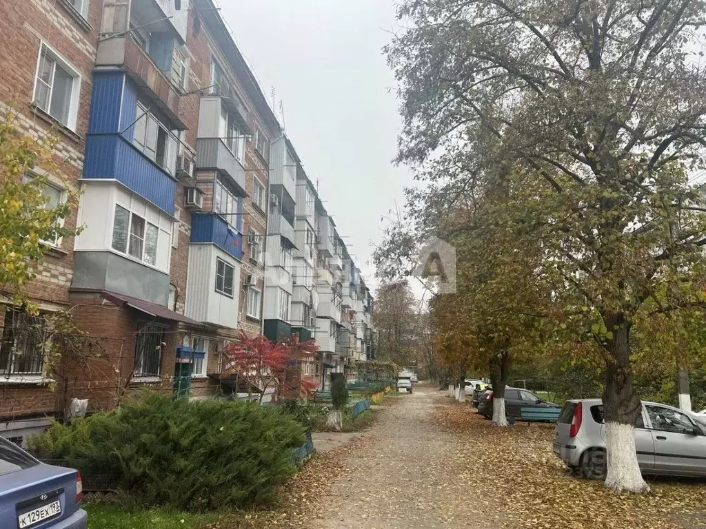 1-к кв. Краснодарский край, Тимашевск Индустриальный мкр, 7 (31.4 м) - Фото 1