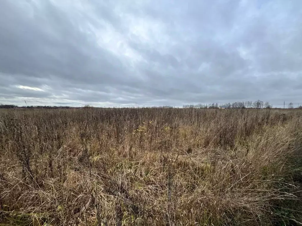 Участок в Ярославская область, Ярославский муниципальный округ, ... - Фото 1