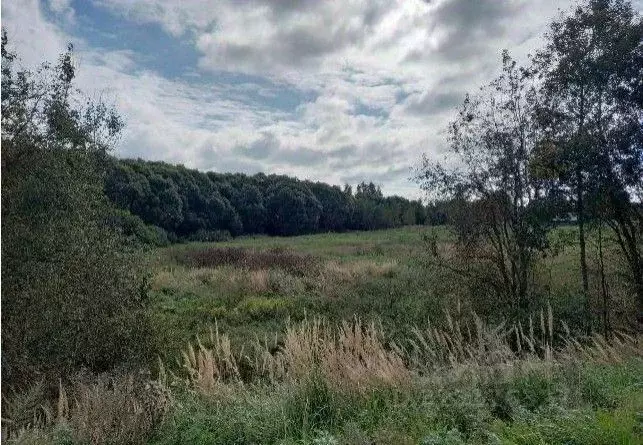 Участок в Московская область, Дмитровский муниципальный округ, д. ... - Фото 1