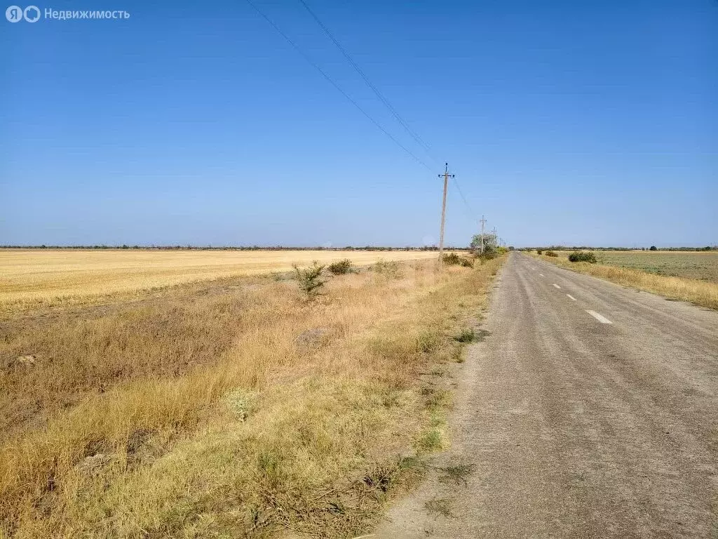 Участок в Восточное, Новая улица, 2 (898.75 м) - Фото 2