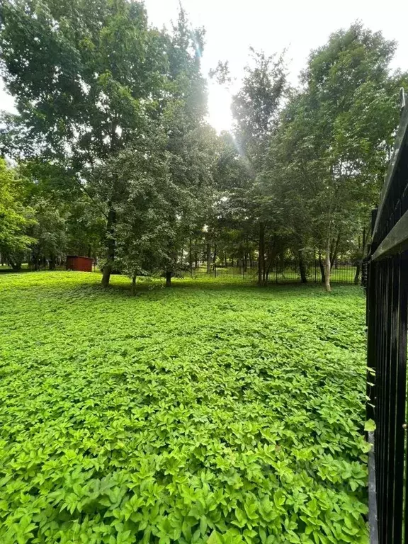 Участок в Санкт-Петербург, Санкт-Петербург, Павловск Садовая ул., 9 ... - Фото 0