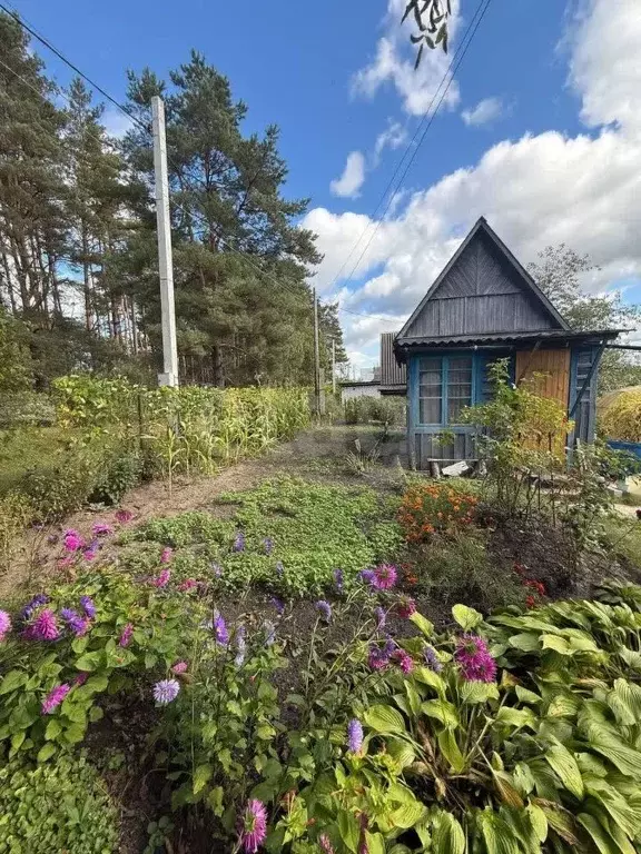 Дом в Брянская область, Брянский район, Новодарковичское с/пос, пос. ... - Фото 1