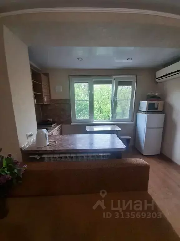 1-к кв. Ставропольский край, Железноводск ул. Ленина, 8 (26.0 м) - Фото 1