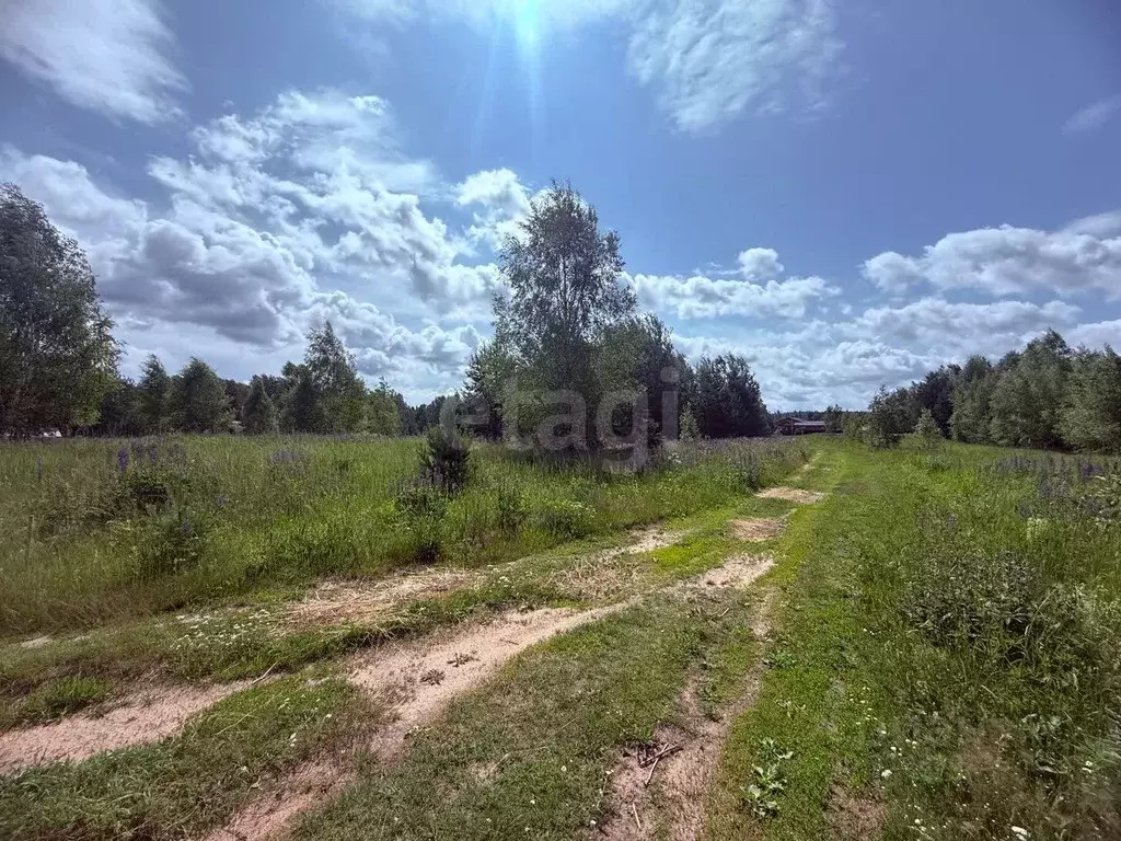 Участок в Владимирская область, Петушинский район, Нагорное ... - Фото 1
