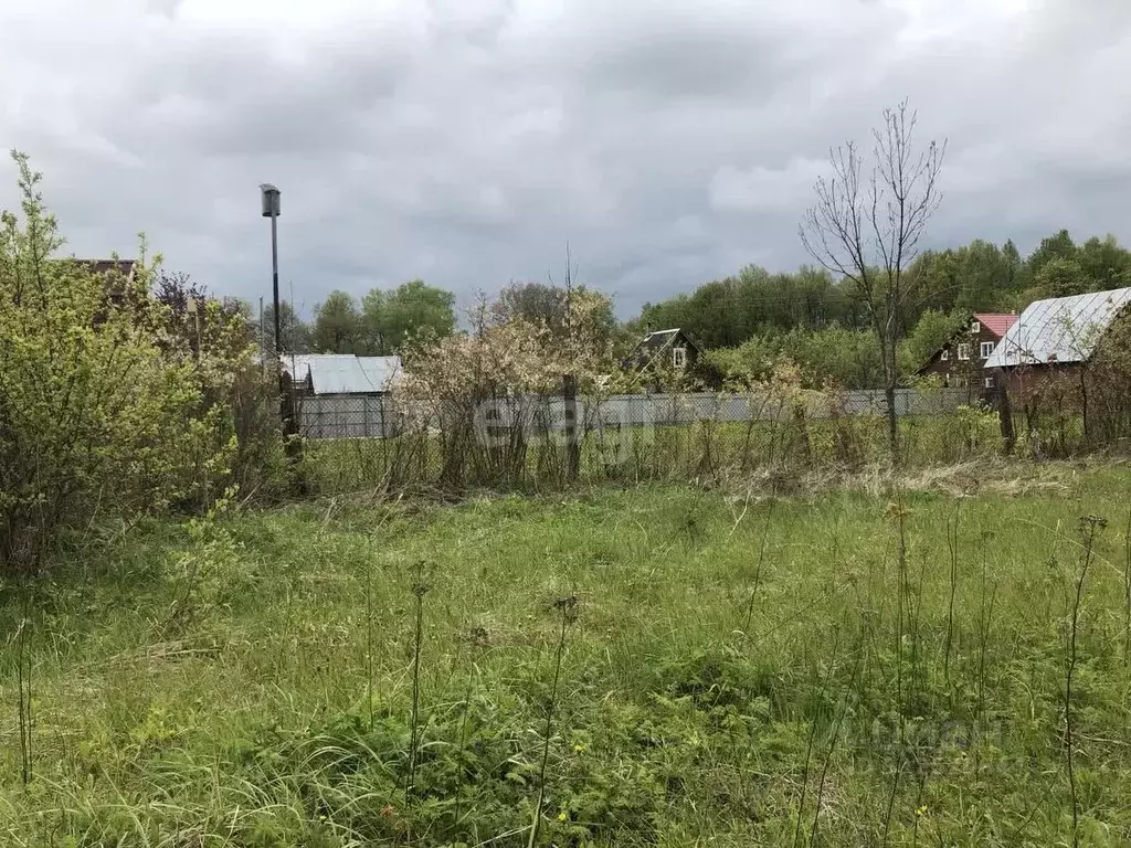 Участок в Московская область, Серпухов городской округ, д. Дубачино 12 ... - Фото 1