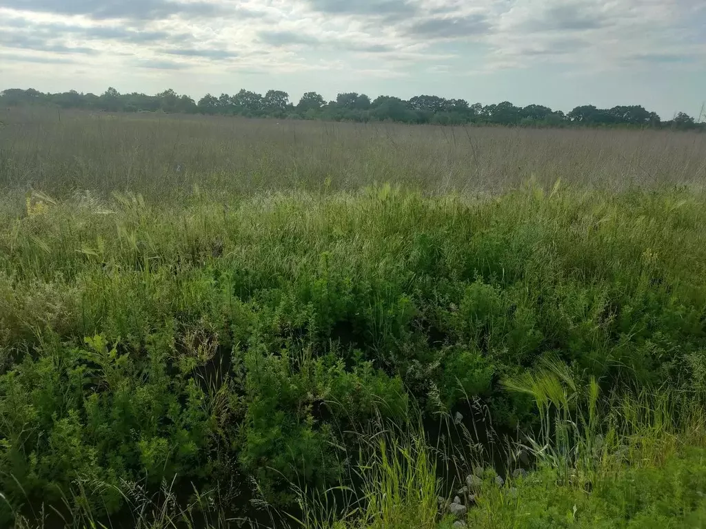Участок в Краснодарский край, Северский район, Ильское городское ... - Фото 1