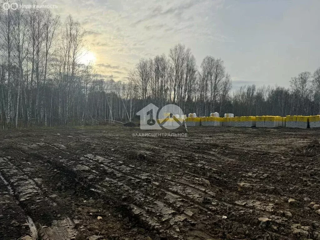 Участок в посёлок Октябрьский, квартал Южный, 195 (8.7 м) - Фото 2