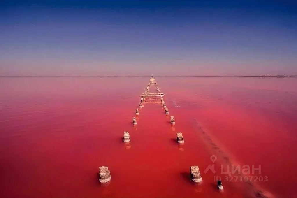 Участок в Крым, Сакский район, Лесновское с/пос, с. Прибрежное  (70.0 ... - Фото 1