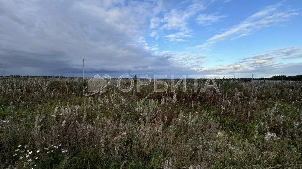 Участок в Тюменская область, Тюменский район, с. Кулига  (9.21 сот.) - Фото 1