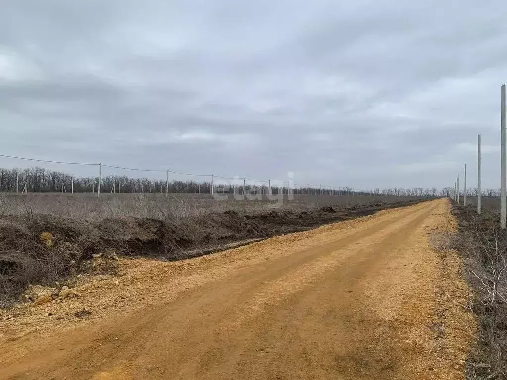 Участок в Ростовская область, Мясниковский район, Краснокрымское ... - Фото 0