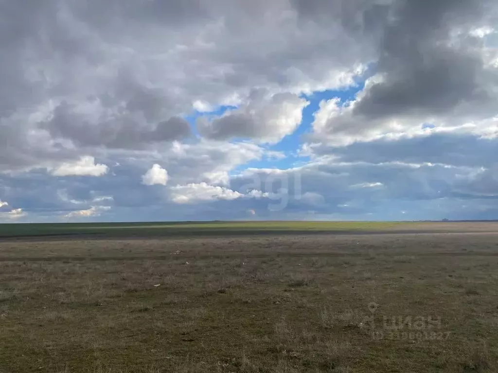 Участок в Крым, Черноморский район, Оленевское с/пос, с. Оленевка  ... - Фото 0