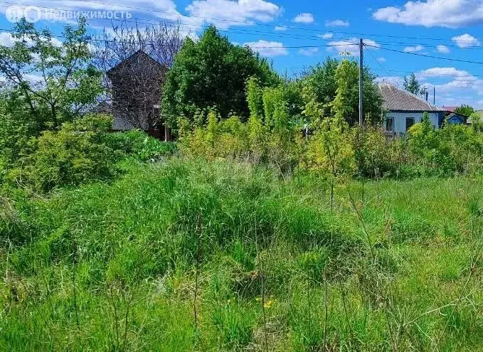 Участок в посёлок Воля, улица Свободы (10 м) - Фото 2