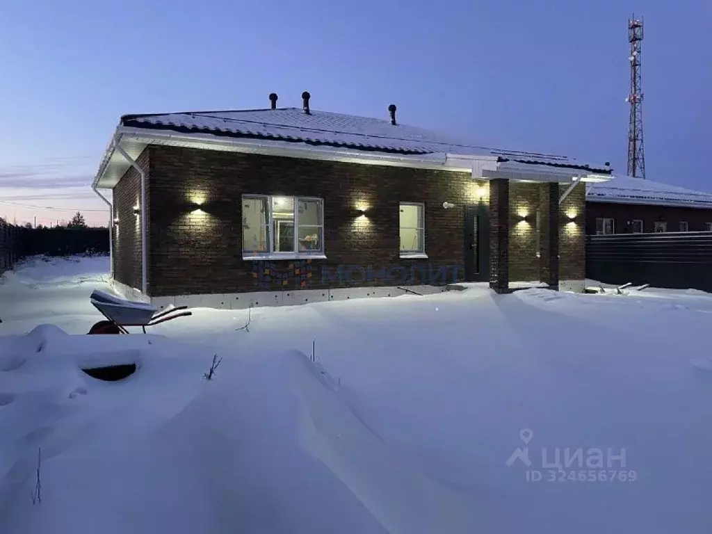 Дом в Нижегородская область, с. Безводное ул. Вячеслава Борисова, 7 ... - Фото 2