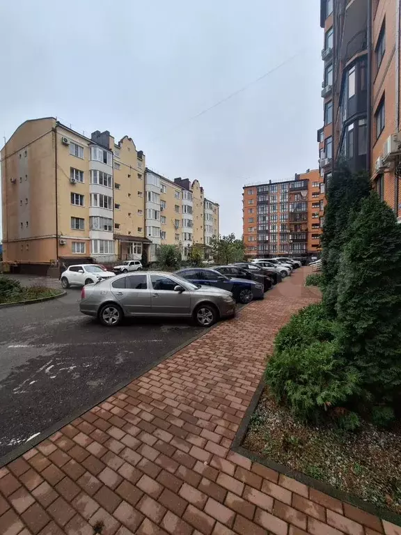 Свободного назначения, 60 м - Фото 1