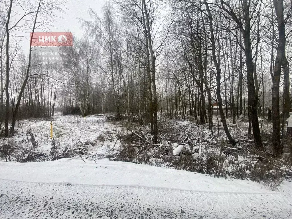 Участок в Рязанская область, Рязанский муниципальный округ, с. ... - Фото 2