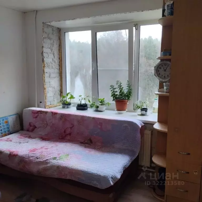 1-к кв. Удмуртия, Ижевск ул. Городок Машиностроителей, 78Б (18.5 м) - Фото 1