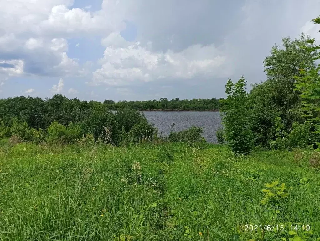 Участок в Нижегородская область, Кстовский муниципальный округ, с. ... - Фото 1