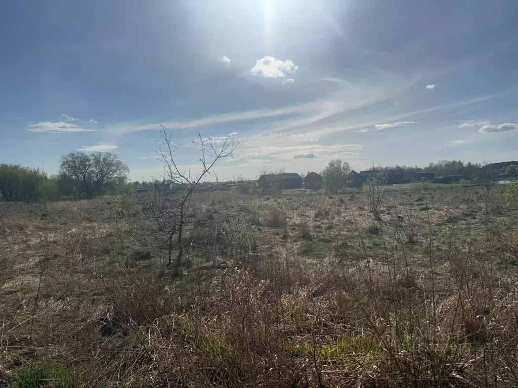 Участок в Московская область, Ногинск Богородский городской округ, ... - Фото 0