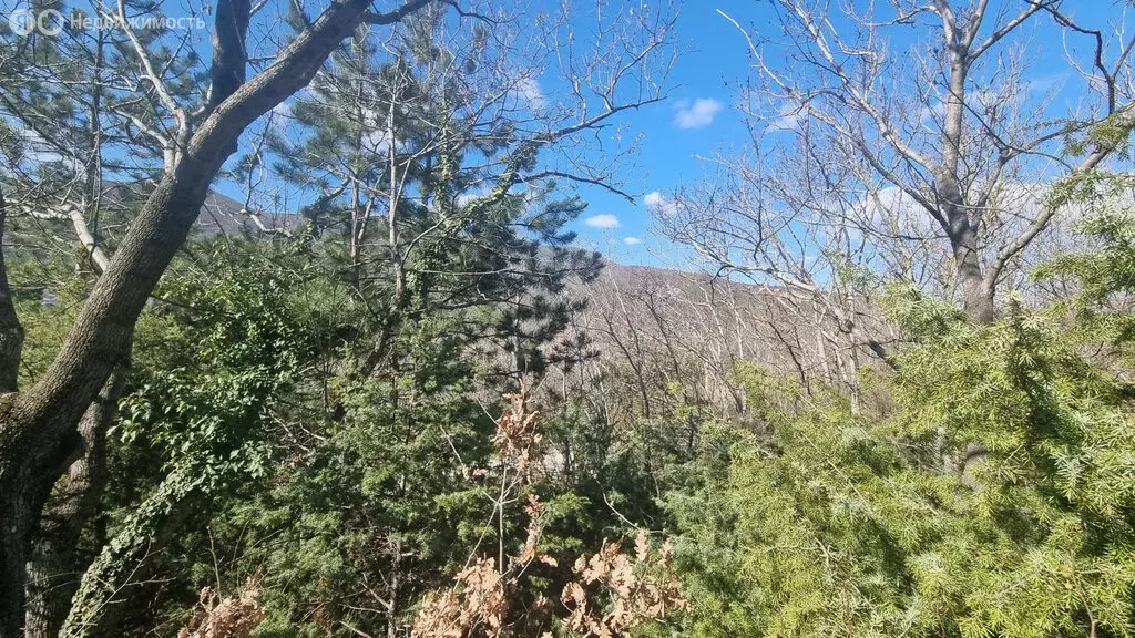 Участок в село Мысхако, Соловьиная улица (6.5 м) - Фото 2