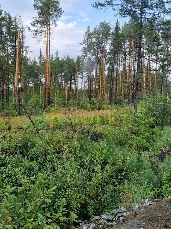 Участок в Свердловская область, Ревда  (10.3 сот.) - Фото 2