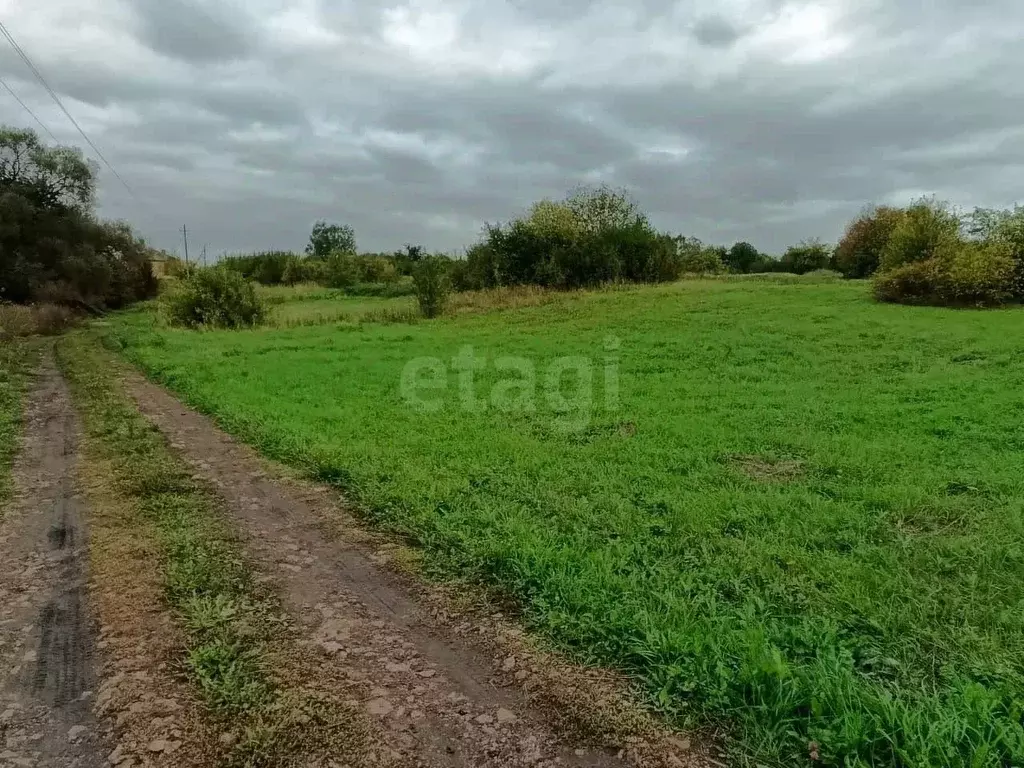 Участок в Мордовия, с. Лямбирь ул. Крестьянская (21.0 сот.) - Фото 1