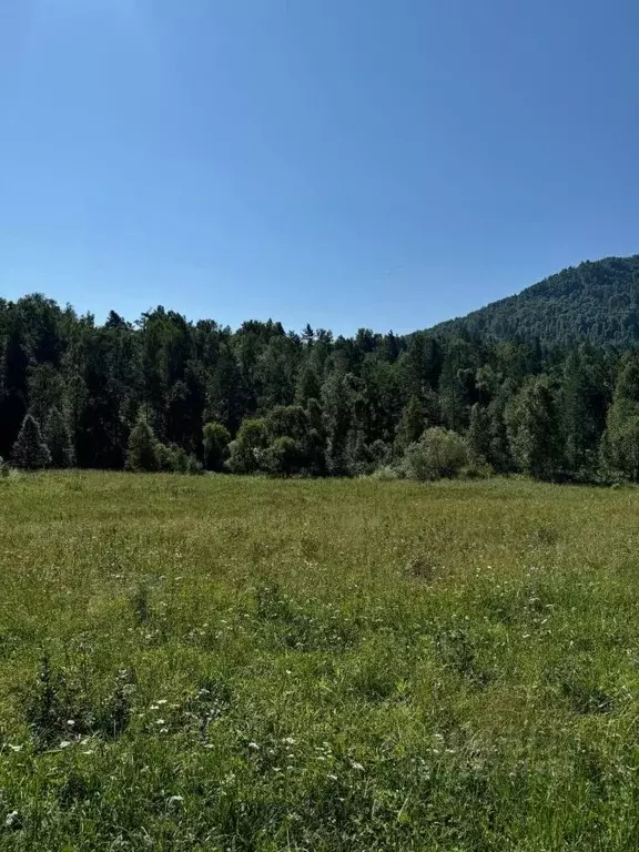 Участок в Алтай, Чемальский район, с. Бешпельтир  (80.71 сот.) - Фото 1