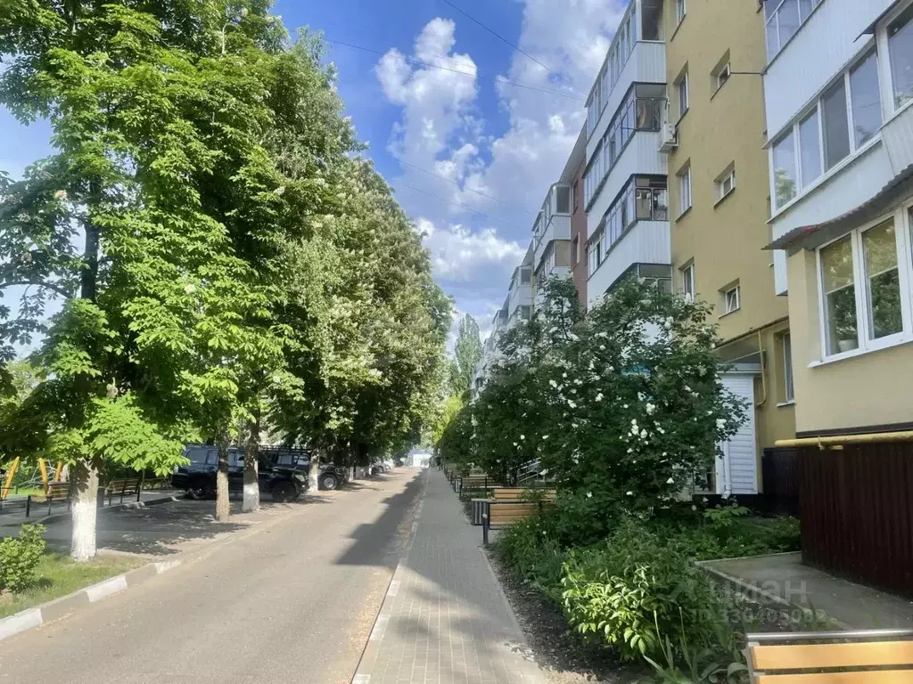 2-к кв. Белгородская область, Белгород ул. 5 Августа, 38 (44.8 м) - Фото 1