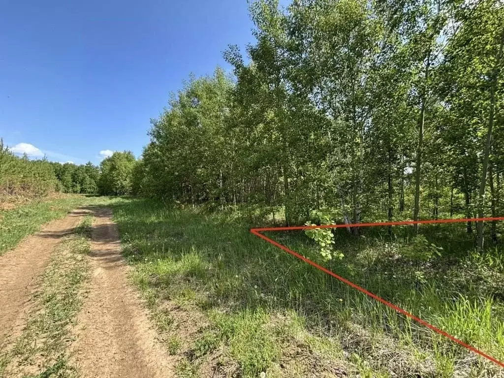Участок в Иркутская область, Шелеховский район, Баклашинское ... - Фото 0