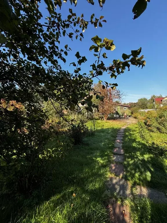 Дом в Московская область, Щелково городской округ, д. Васильевское 35 ... - Фото 1