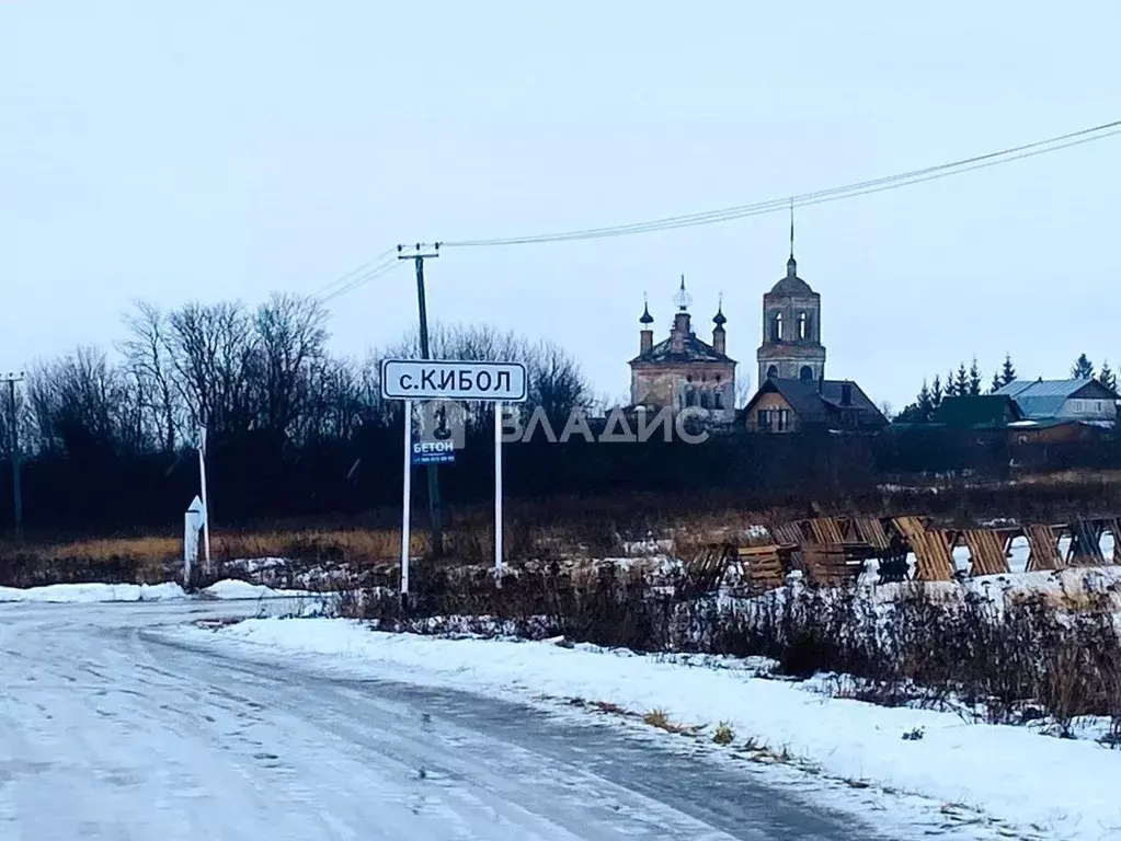 Участок в Владимирская область, Суздальский район, Селецкое ... - Фото 0