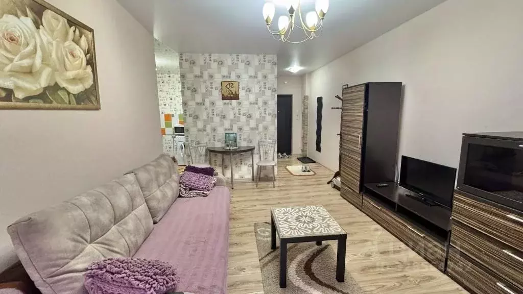 Студия Волгоградская область, Волгоград ул. 51-й Гвардейской Дивизии, ... - Фото 2