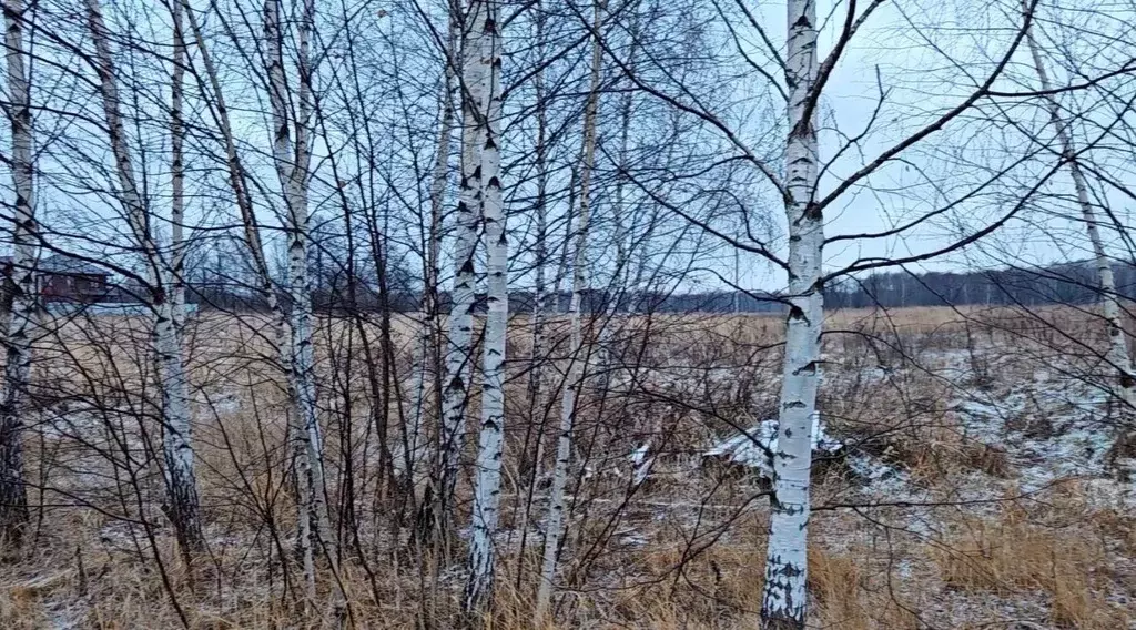 Участок в Московская область, Ступино Колхозная ул. (11.97 сот.) - Фото 0