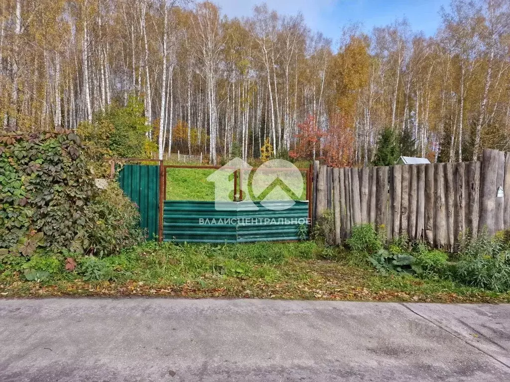 Участок в Новосибирская область, Новосибирский район, Барышевский ... - Фото 1