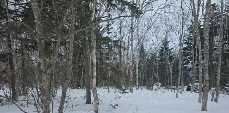 Участок в Сахалинская область, Анивский городской округ, с. ... - Фото 1