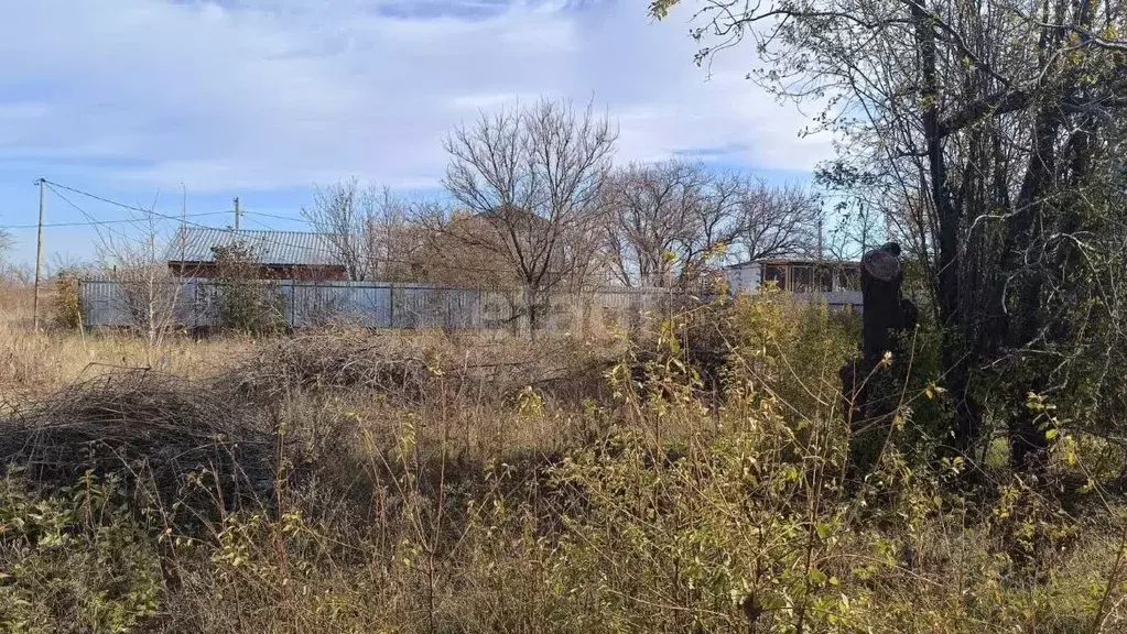 Участок в Краснодарский край, Ейское городское поселение, пос. ... - Фото 2