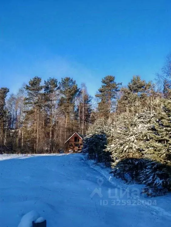 Участок в Иркутская область, Иркутский муниципальный округ, пос. ... - Фото 2