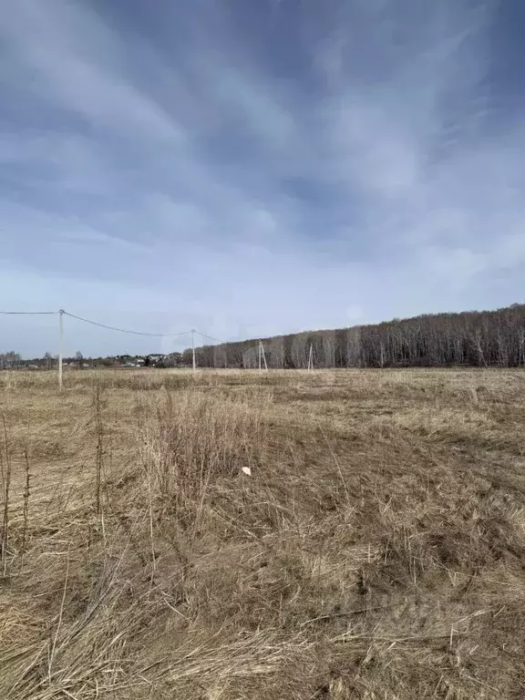 Участок в Курганская область, Курган Тополя мкр,  (7.9 сот.) - Фото 1